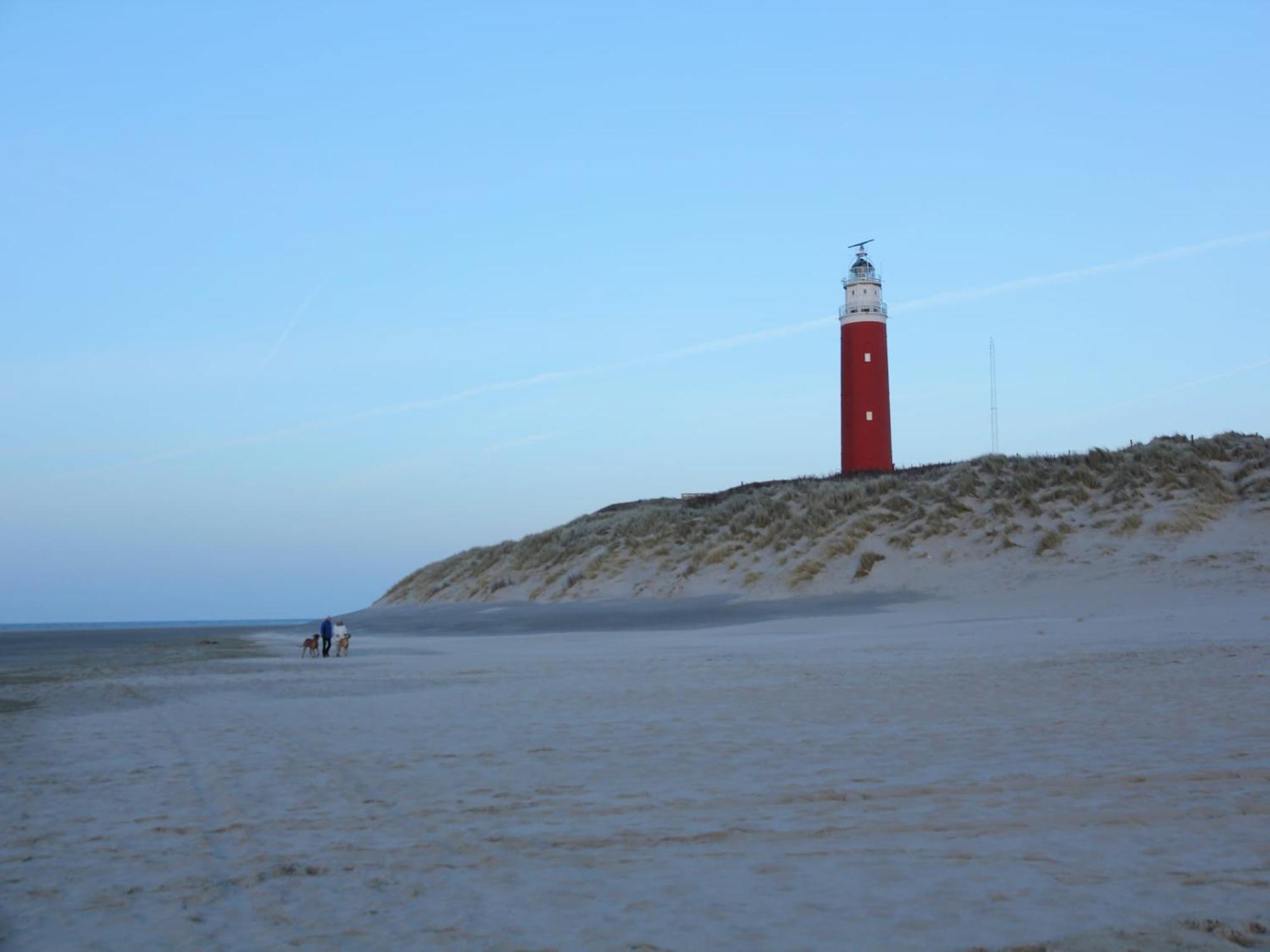 Great Holiday Home Energy Neutral On Texel With Sauna And Sun Shower Westermient エクステリア 写真